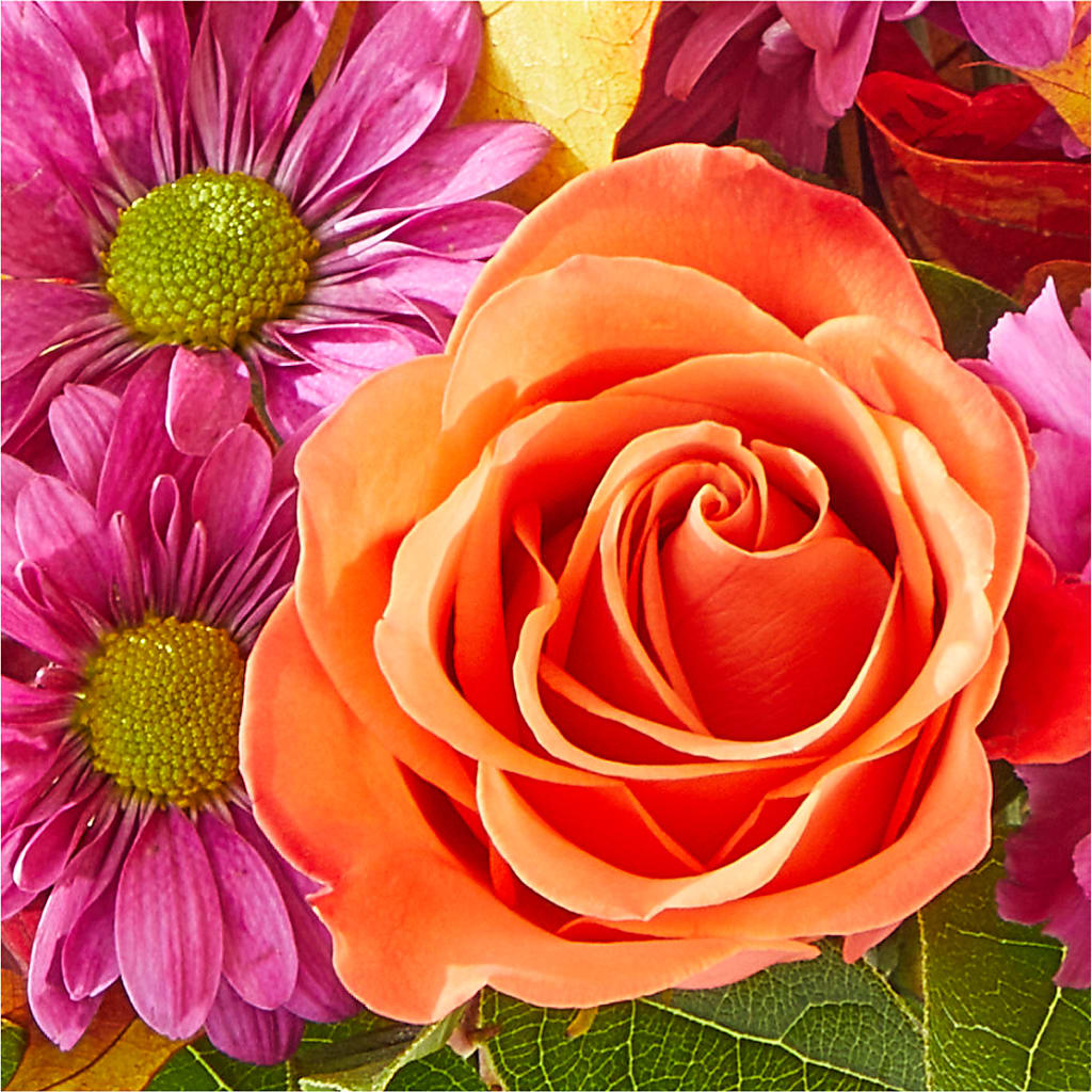 Mum's the Word Bouquet – SWAN FLORAL & GIFT SHOP INC, Erlanger KY