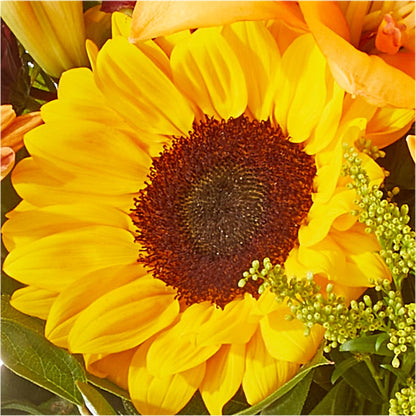 Seasons Change Bouquet – SWAN FLORAL & GIFT SHOP INC, Erlanger KY