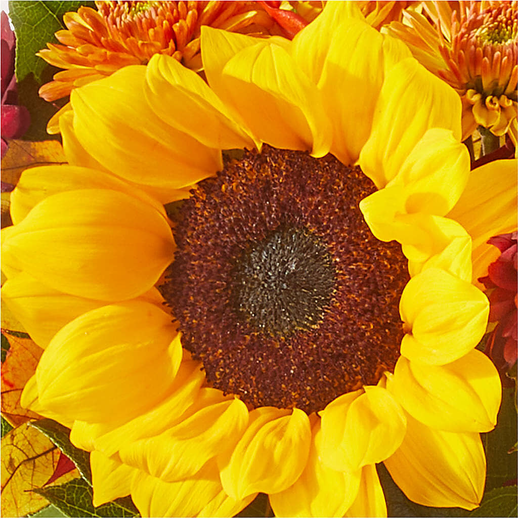 Sunny Side Bouquet – SWAN FLORAL & GIFT SHOP INC, Erlanger KY