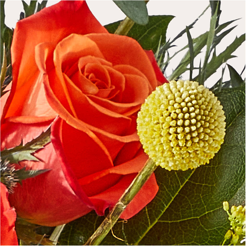 Disco Bouquet – SWAN FLORAL & GIFT SHOP INC, Erlanger KY
