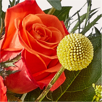 Disco Bouquet – SWAN FLORAL & GIFT SHOP INC, Erlanger KY