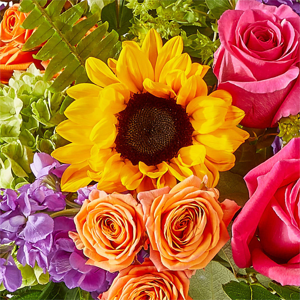 Vibrant Greetings Bouquet – SWAN FLORAL & GIFT SHOP INC, Erlanger KY