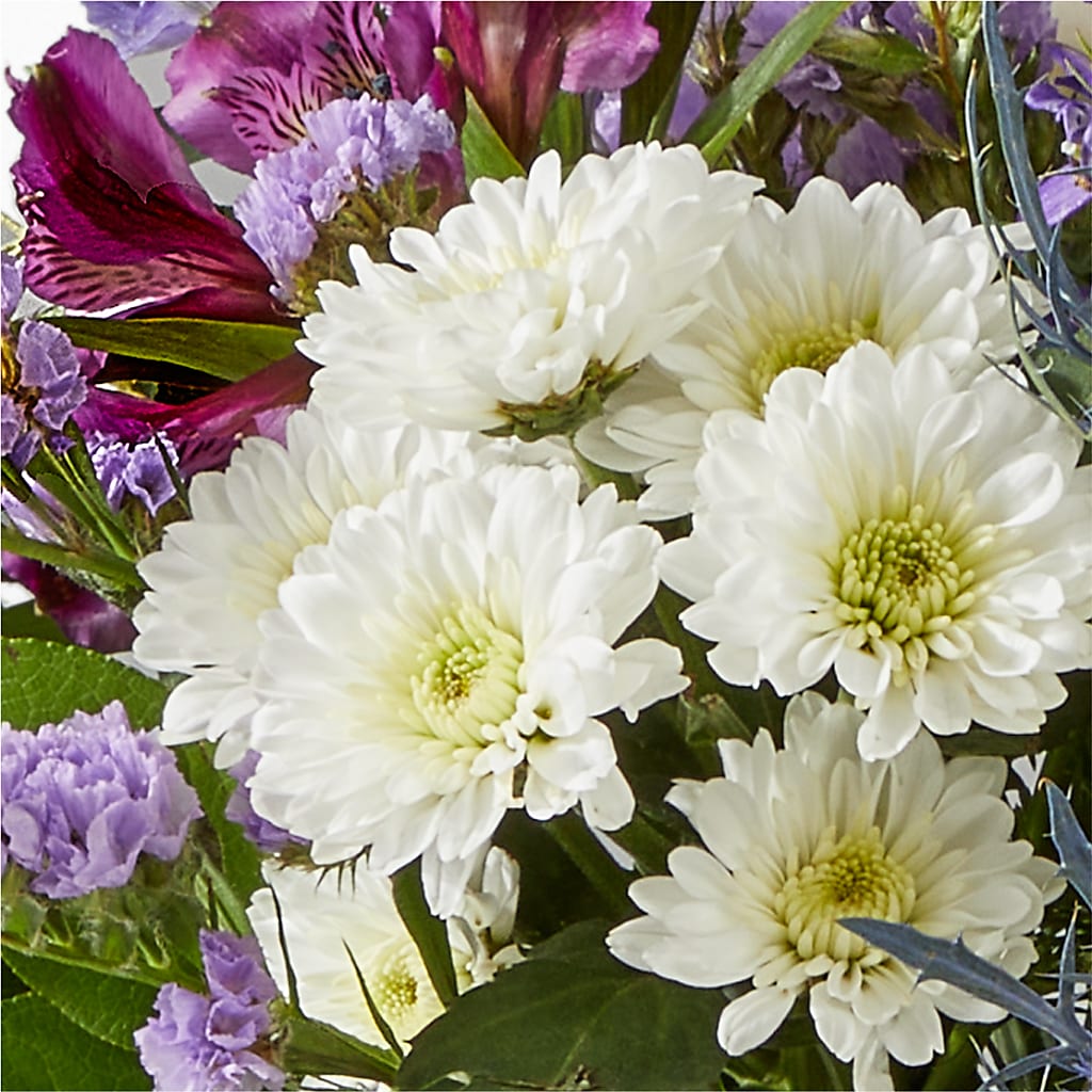 Shooting Star Bouquet – SWAN FLORAL & GIFT SHOP INC, Erlanger KY