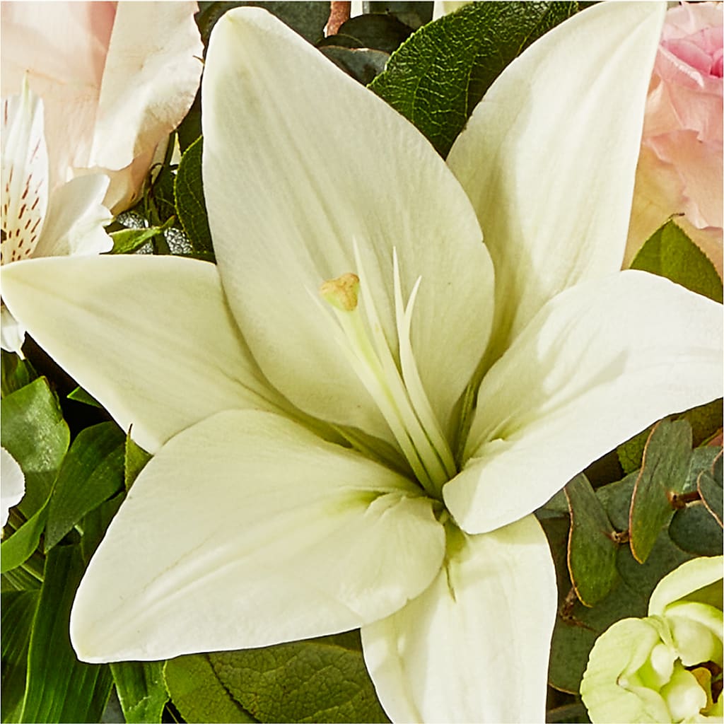 Ballet Slippers Bouquet – SWAN FLORAL & GIFT SHOP INC, Erlanger KY