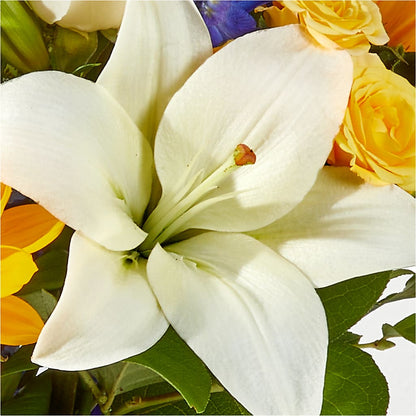 Wonderfully Sunny Bouquet – SWAN FLORAL & GIFT SHOP INC, Erlanger KY