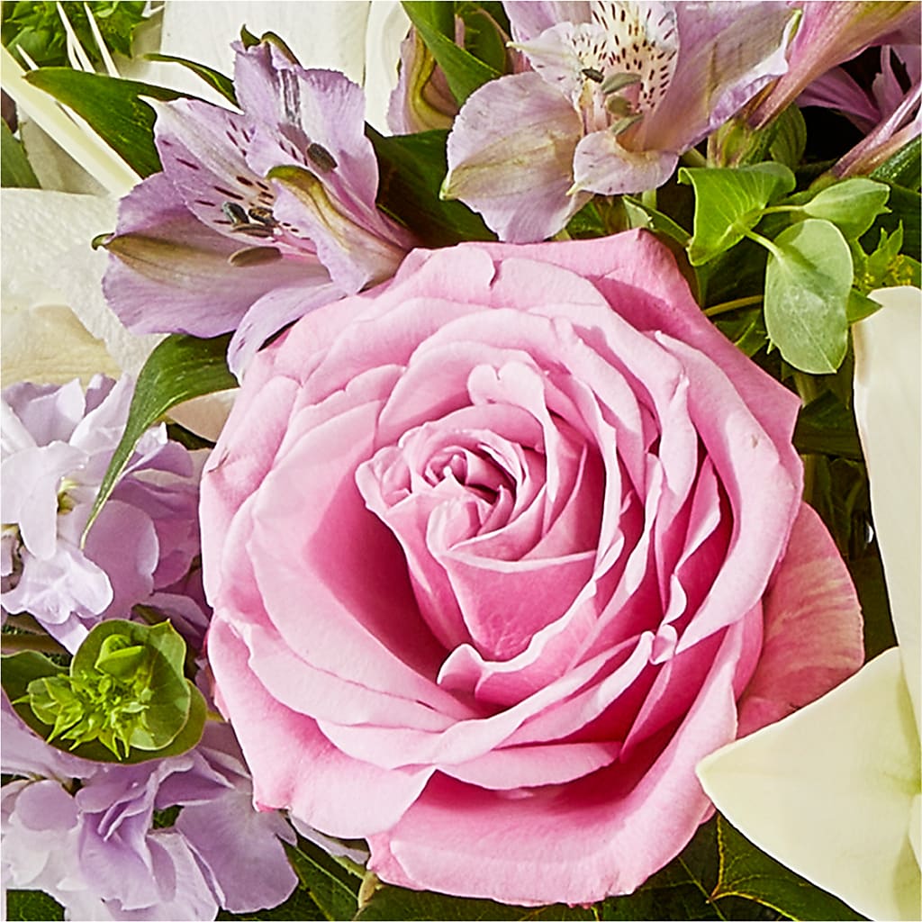 Daydreamer Bouquet – SWAN FLORAL & GIFT SHOP INC, Erlanger KY