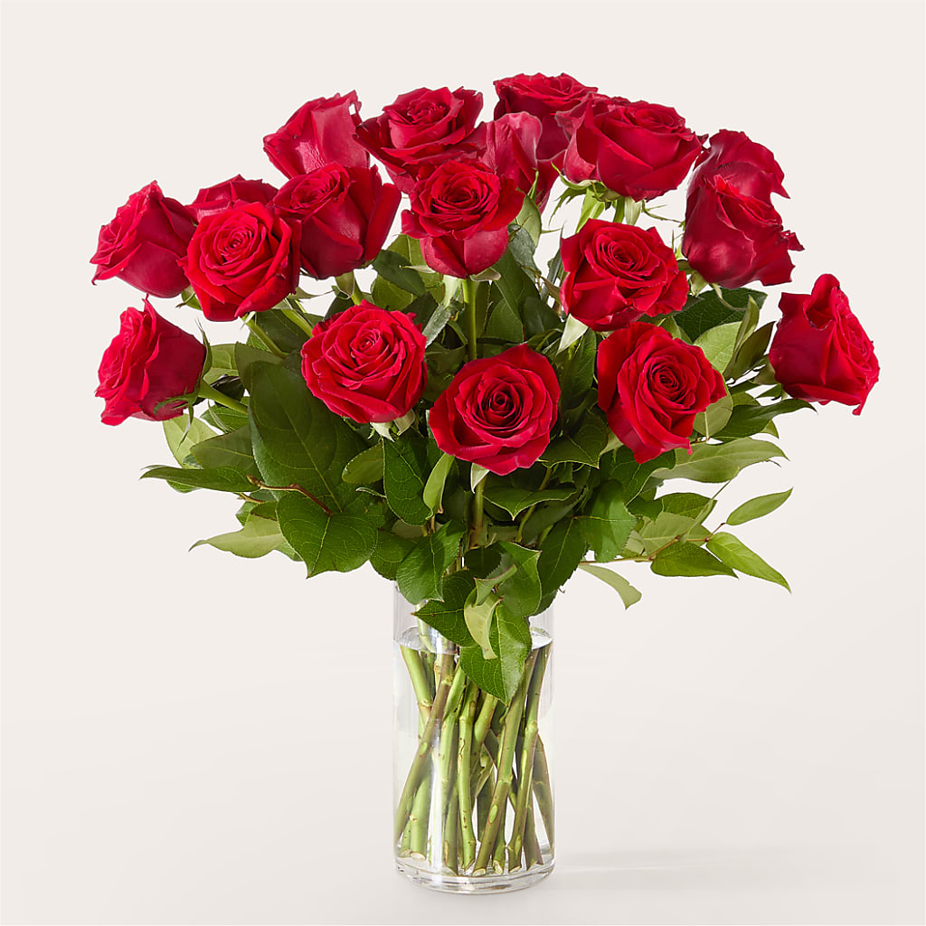 The One Red Rose Bouquet – SWAN FLORAL & GIFT SHOP INC, Erlanger KY