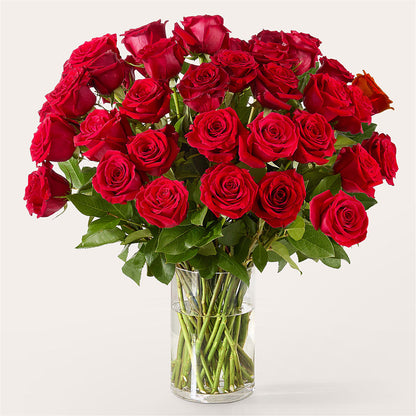 The One Red Rose Bouquet – SWAN FLORAL & GIFT SHOP INC, Erlanger KY