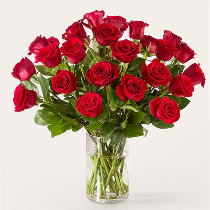 The One Red Rose Bouquet – SWAN FLORAL & GIFT SHOP INC, Erlanger KY