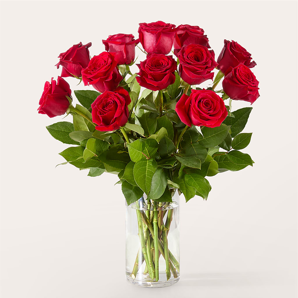 The One Red Rose Bouquet – SWAN FLORAL & GIFT SHOP INC, Erlanger KY