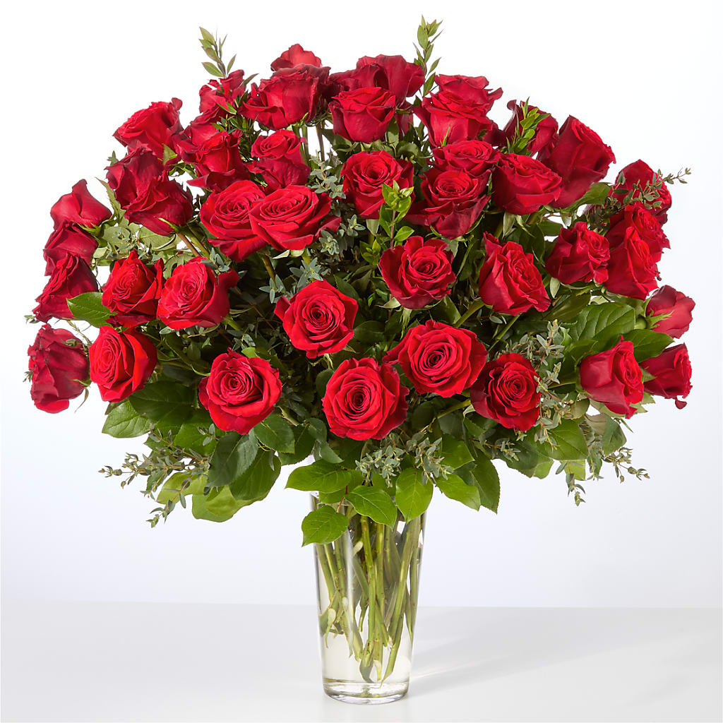 Forever Yours Fifty Stem Red Rose Bouquet – SWAN FLORAL & GIFT SHOP INC, Erlanger KY