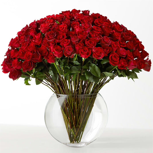 The Idealist – SWAN FLORAL & GIFT SHOP INC, Erlanger KY