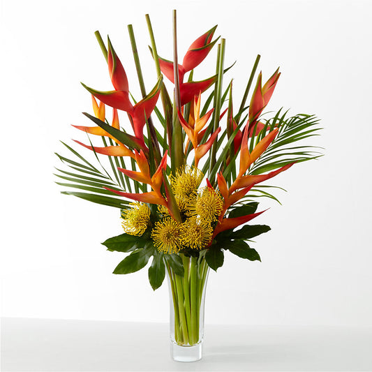 The Drama – SWAN FLORAL & GIFT SHOP INC, Erlanger KY