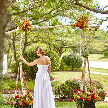 Arbor of Love Archway – SWAN FLORAL & GIFT SHOP INC, Erlanger KY