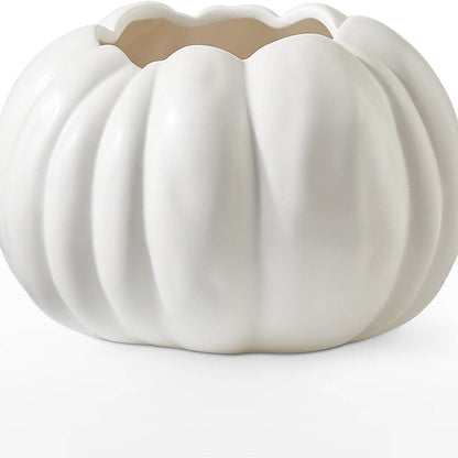 Pumpkin to Talk About Bouquet – SWAN FLORAL & GIFT SHOP INC, Erlanger KY