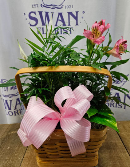 funeralSympathy_Image_1787069170496.jpeg