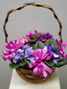 Basket of African Violets