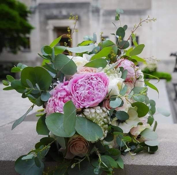 wedding_Image_1786456449594.jpeg